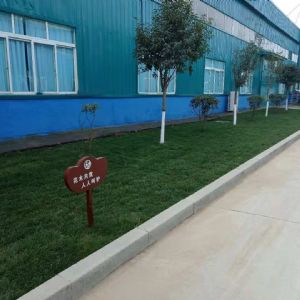 廠容廠貌